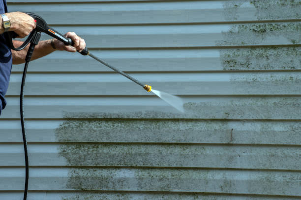 Best Paint Preparation  in Wlowbrook, IL